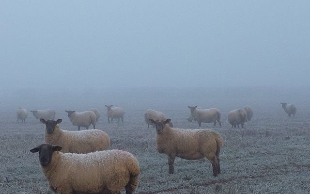 Blue winter by _lukecotton