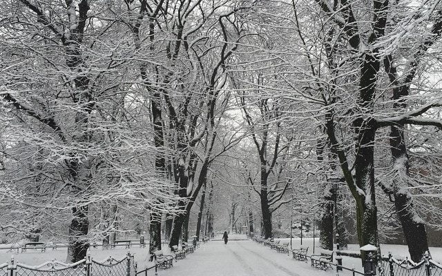 Morning in Kraków! by katrinaodwyer