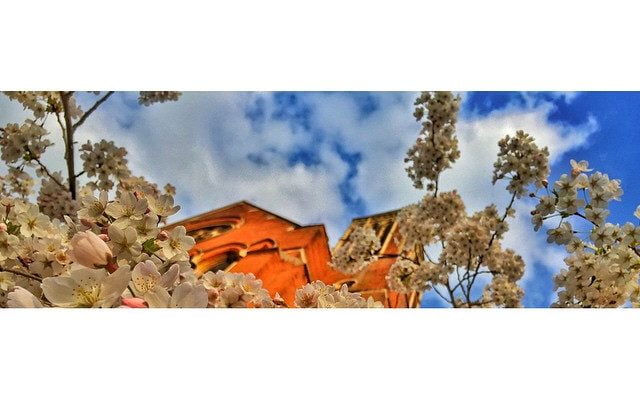 Crystal Palace by joelantunes