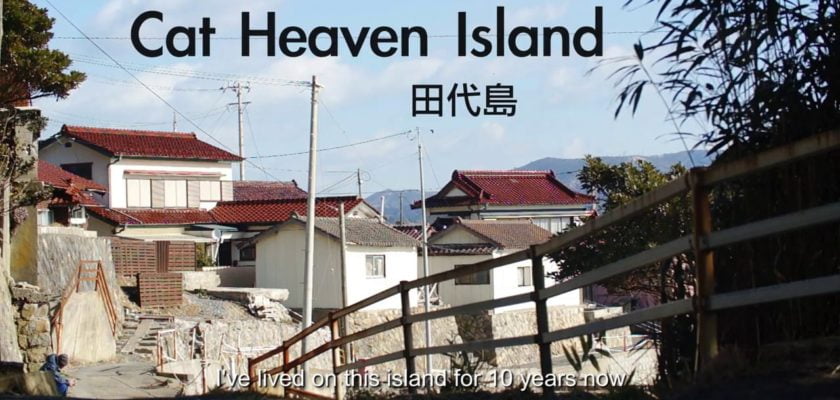 Cat Heaven Island (Featurette) by Landon Donoho