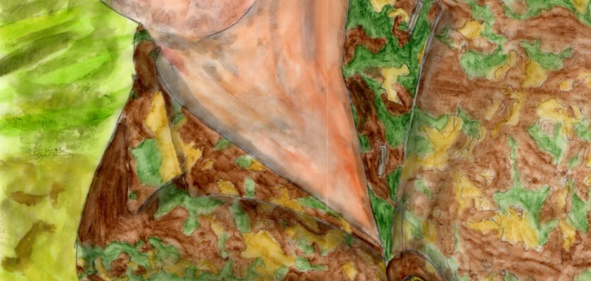 The Dream Stories - Captain Caleb