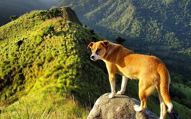 Got friends in high place... by hello.l4wrence