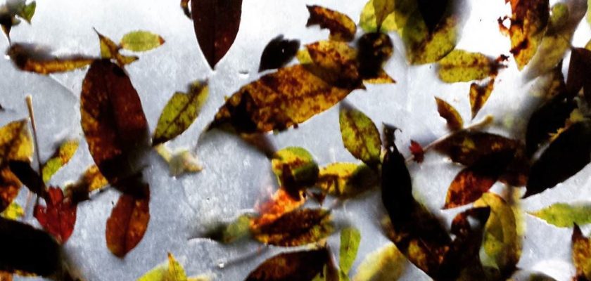 abstract november by croftphotography