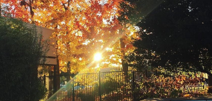 Finally, Fall. by lyricyst