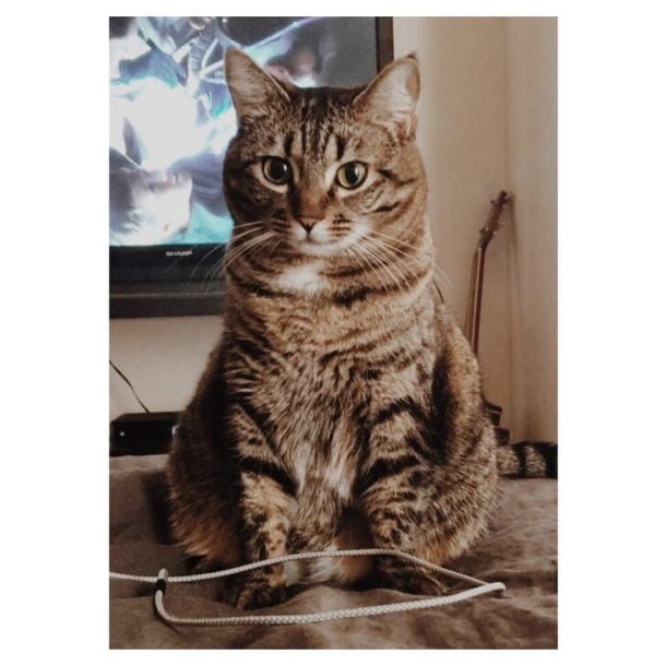 Fat bottomed girls by ad0an