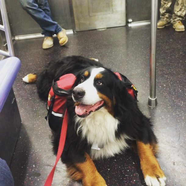 THIS GUY!!! by timkubart