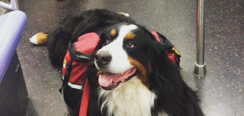 THIS GUY!!! by timkubart