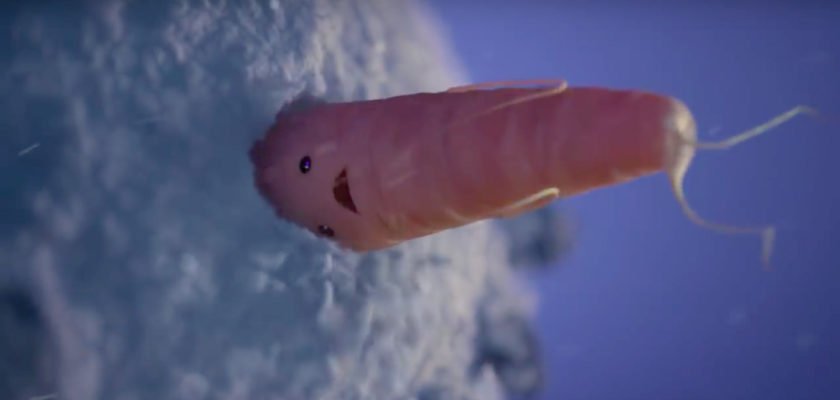 Aldi Christmas Advert ft. Kevin The Carrot 2017