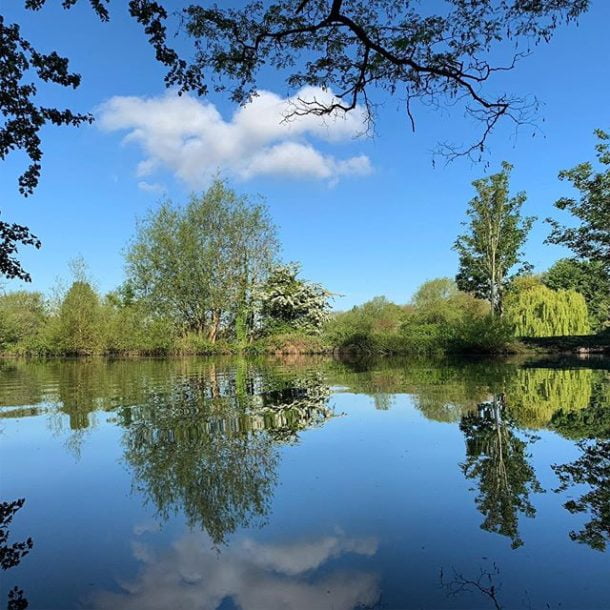 The beautiful Baldwin’s Lake