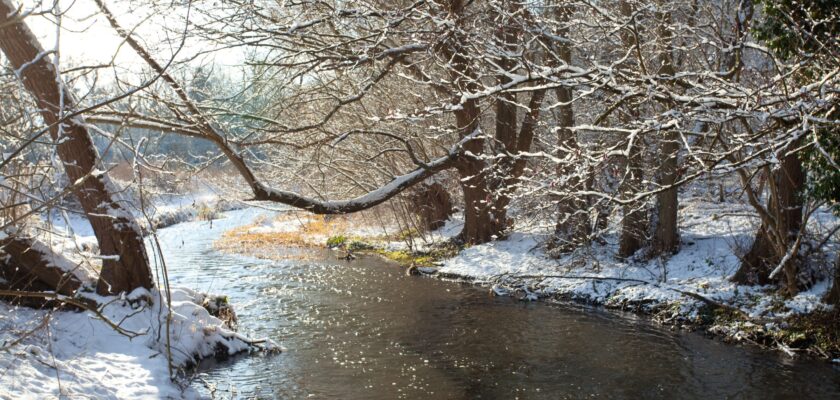 "Winter Darent" by Adam Swaine