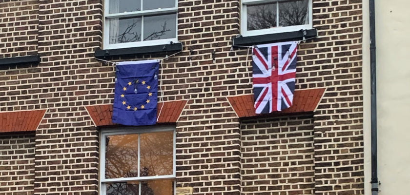 Pro-EU Brexit Day