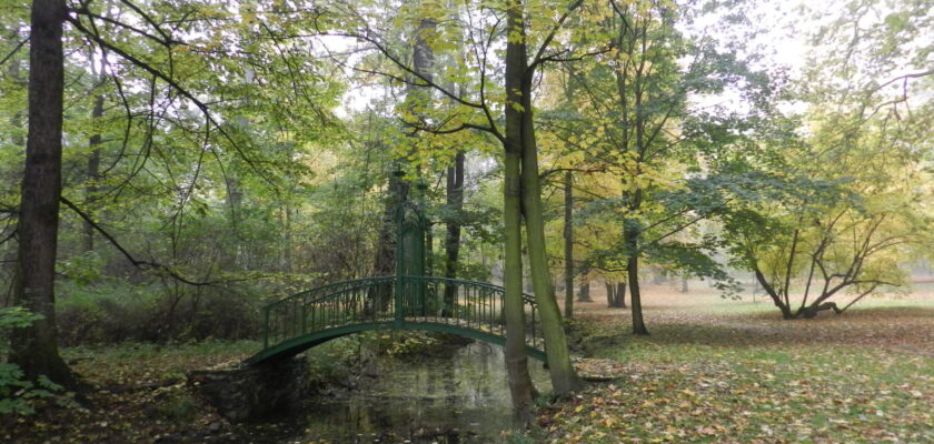 Autumn Melancholy by beranekp