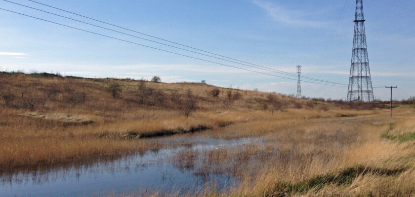 Swanscombe Marshes by diamond geezer