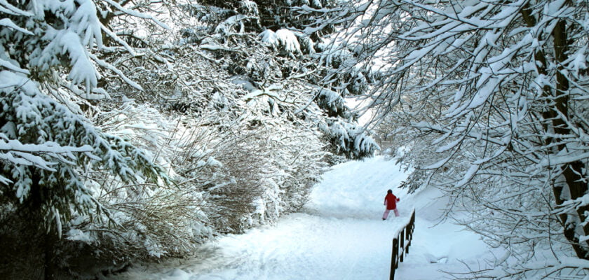 Wintertime by Batikart