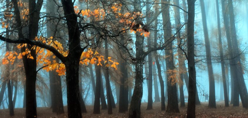 morning... by Agata