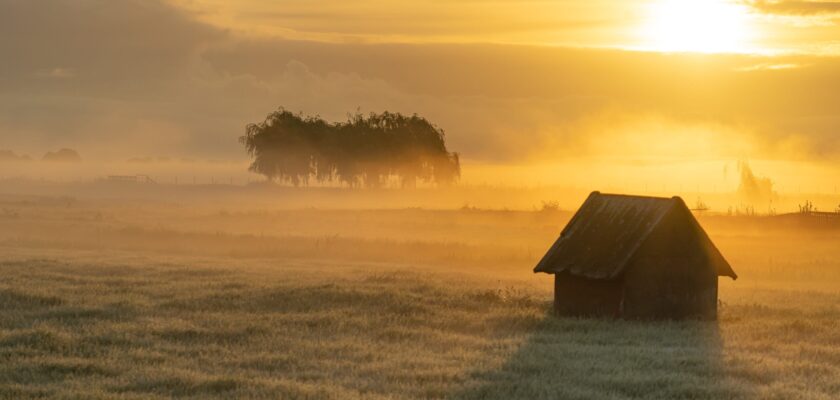 wet burning by johanna