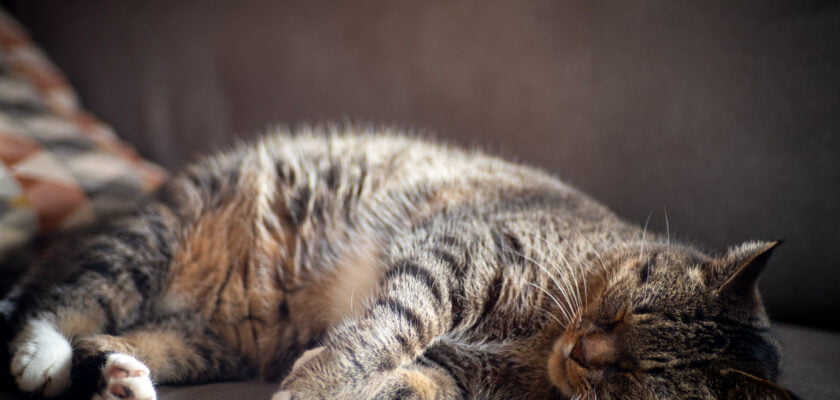 325/365: That weekend vibe by Matt