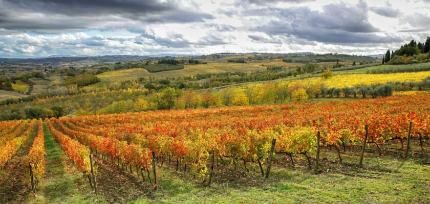 Foliage nel Chianti by Maurizio