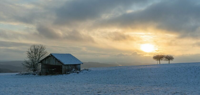 a bit of light.... by johanna