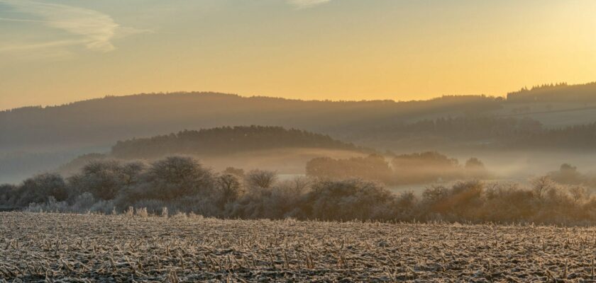 frozen ground by johanna