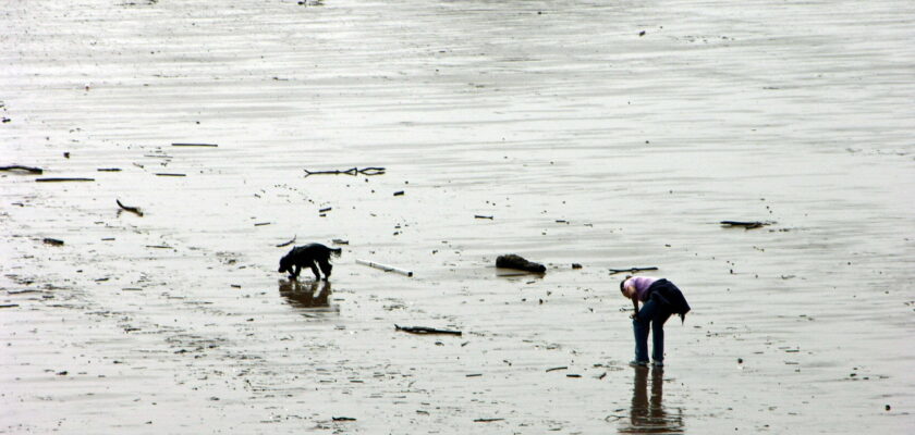 2006-09-10 At low Tide... by Petr Beránek