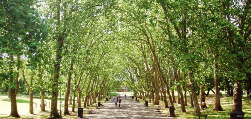Crystal Palace Park, London Borough of Bromley, SE19 by Ewan Munro Some rights reserved by Ewan-M