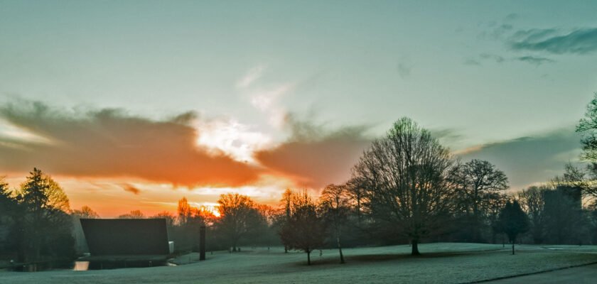 The Park at Christmas by bric © All rights reserved by bric