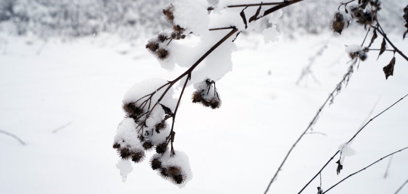 Lumised takjad by Jaan Keinaste