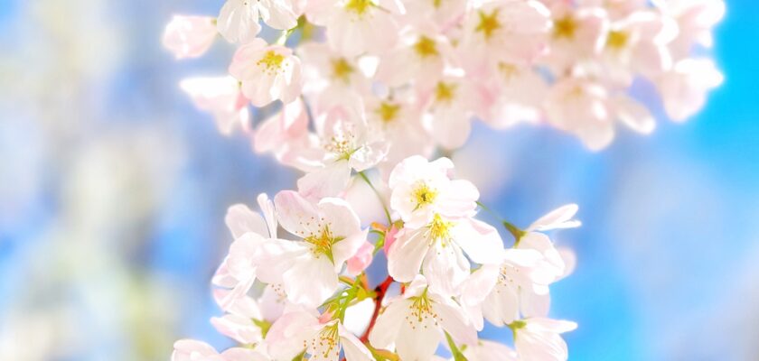 Untitled by LaTur © All rights reserved by LaTur