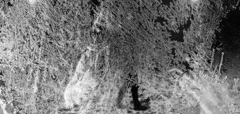 early winter morning ... by Agata © All rights reserved by Eggii