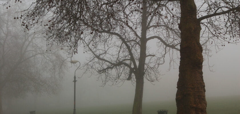 fog by auru © All rights reserved by auru