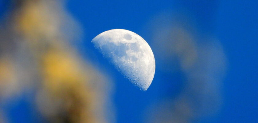2024-03-17 Moon by Petr Beránek © All rights reserved by beranekp