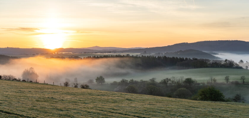 Untitled by johanna © All rights reserved by Woewwesch