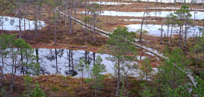 Viru raba tornist by Jaan Keinaste © All rights reserved by Jaan Keinaste