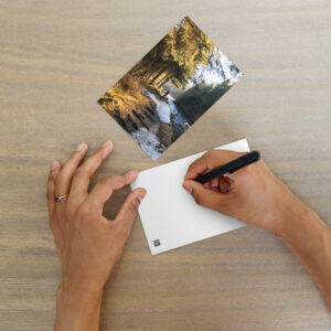 Samoëns-France Postcard