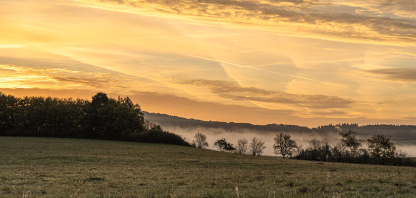 Untitled by johanna © All rights reserved by Woewwesch