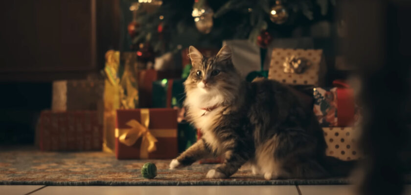 Sweet Suspicion: A Waitrose Mystery by Saatchi & Saatchi